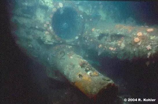 共济失调喝健步清言饮可以吗？